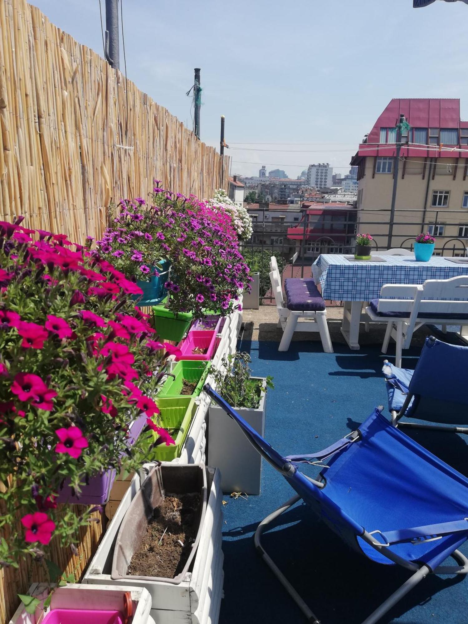 Hostel Inn Downtown Belgrad Dış mekan fotoğraf